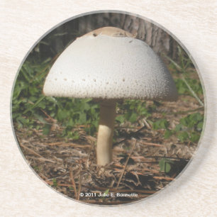 Shroom 0659 Coaster