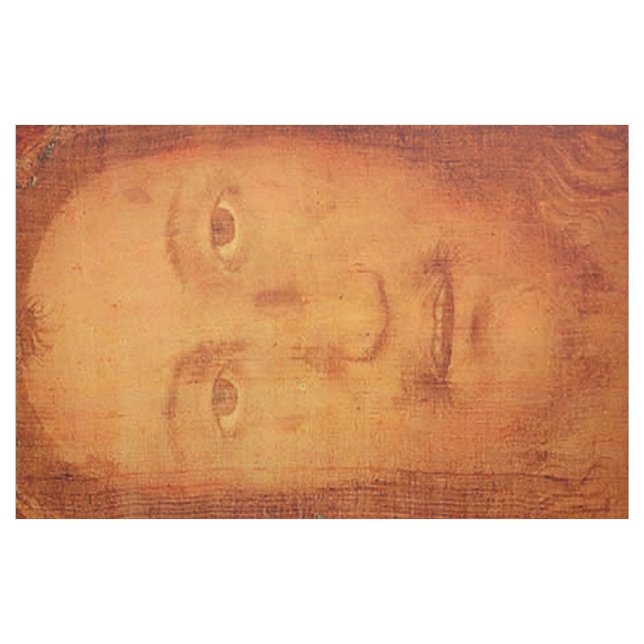 Shroud Veronica Veil Manopello Holy Face fabric (Fat Quarter)