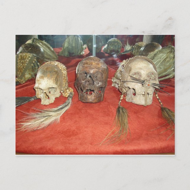 Shrunken Heads Voodoo Display Postcard (Front)