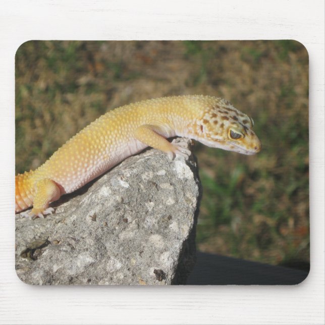 SHTCT Leopard Gecko Mouse Pad (Front)