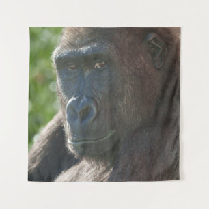 Shufai from Twycross Zoo Tapestry