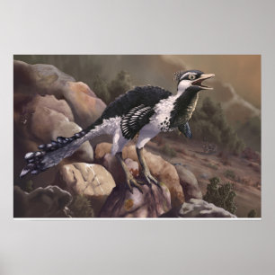 Shuvuuia Print