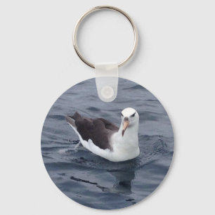 Shy Albatross Key Ring