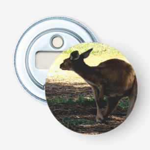 Shy Australian Kangaroo, Magnetic Bottle Opener. Opener