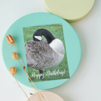 Shy Canada Goose Photo Birthday Card