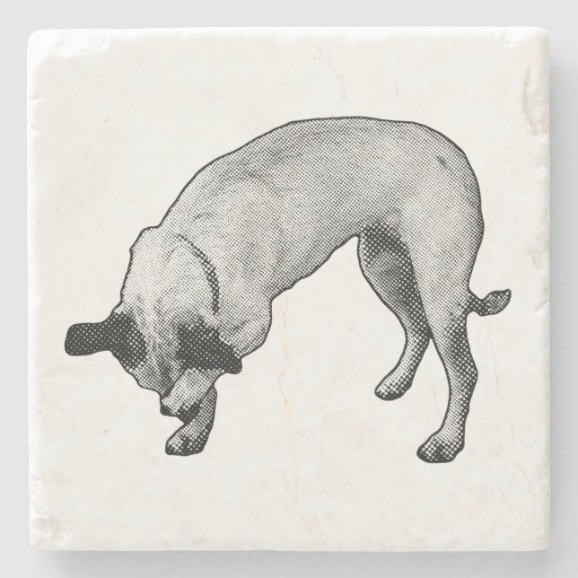 Shy Charm Coaster (Front)