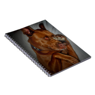 Shy Chocolate Lab Pit Mix Dog Notebook
