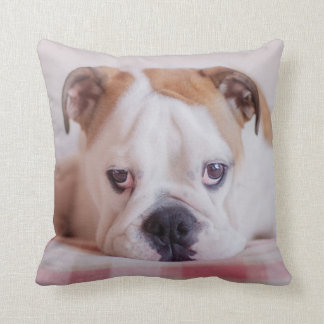 Shy English Bulldog Puppy Cushion