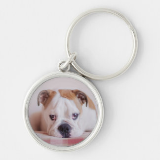 Shy English Bulldog Puppy Key Ring