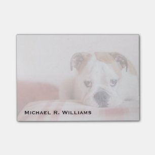 Shy English Bulldog Puppy Post-it Notes