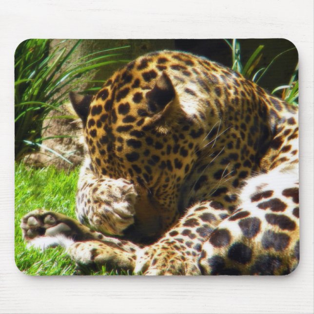 Shy Leopard Mouse Pad (Front)