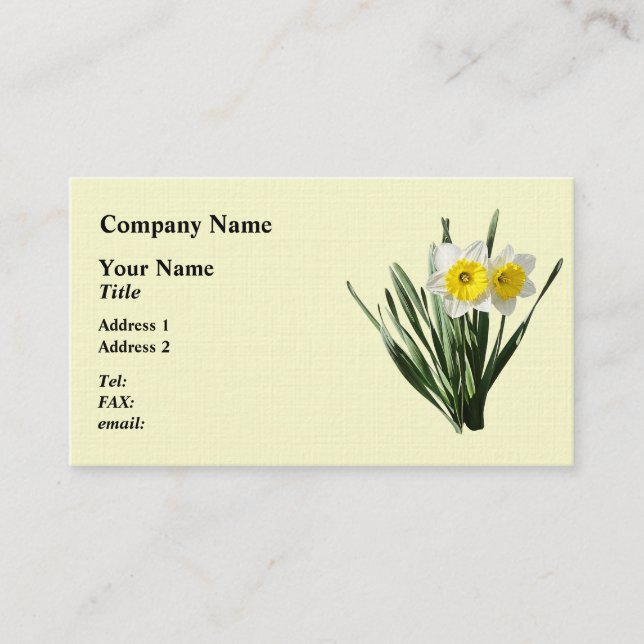 Shy Little Daffodil Business Card (Front)
