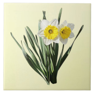 Shy Little Daffodil Tile