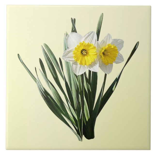 Shy Little Daffodil Tile (Front)