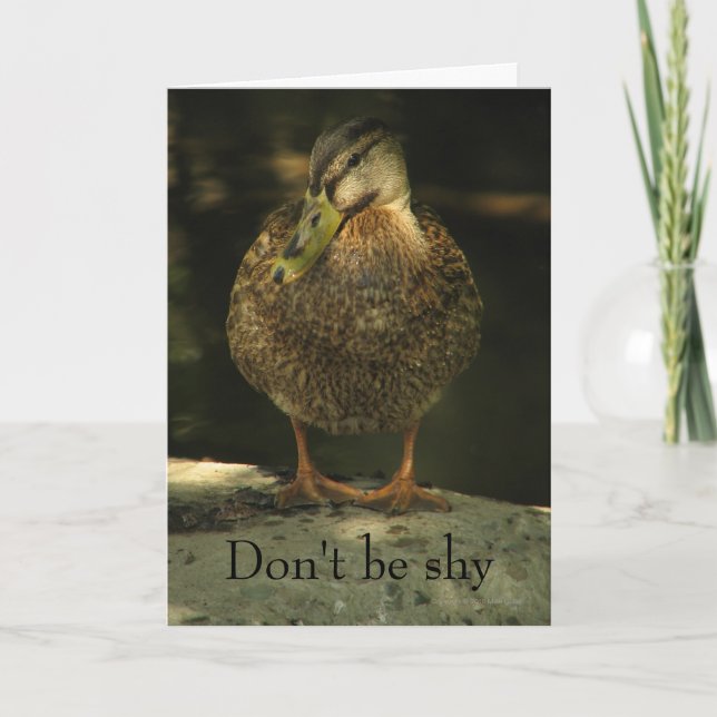 Shy Mallard Valentine's Day Card (Front)