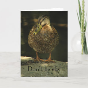 Shy Mallard Valentine's Day Card