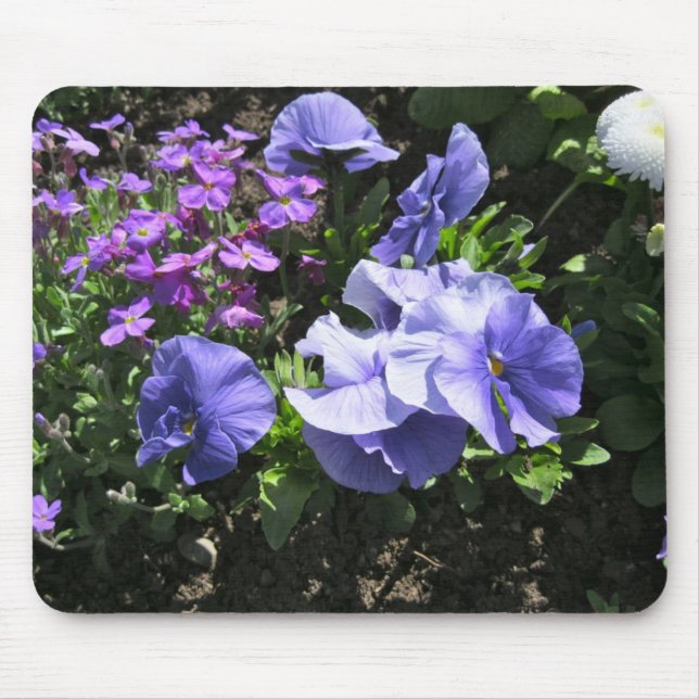 Shy Purple Pansies Mouse Pad (Front)