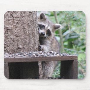 Shy Racoon Mousepad
