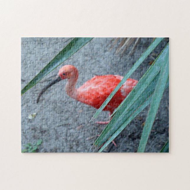 Shy Scarlet Ibis Jigsaw Puzzle (Horizontal)