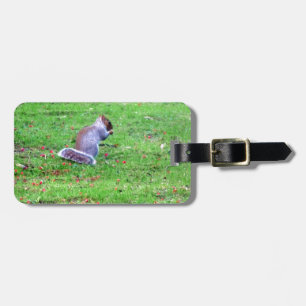 Shy Squirrel Luggage Tag