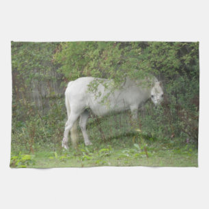 Shy White Horse Kitchen Towel
