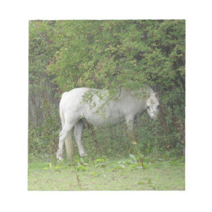 Shy White Horse Notepad