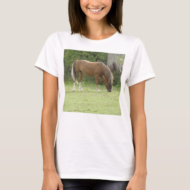 Shy White Horse T Shirt (Front)