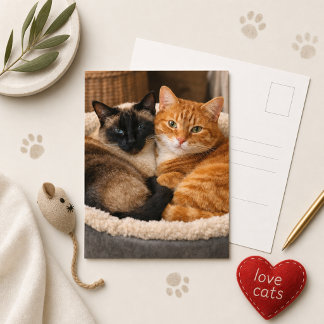 Siamese and Ginger Cute Cats Postcard