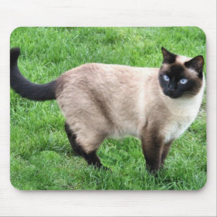 SIAMESE BEAUTY MOUSE PAD