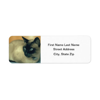 Siamese Cat