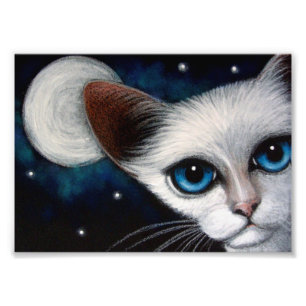 SIAMESE CAT 7" x 5", Kodak Photo Paper (Satin) Print