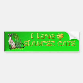 Siamese Cat  Bumper Sticker