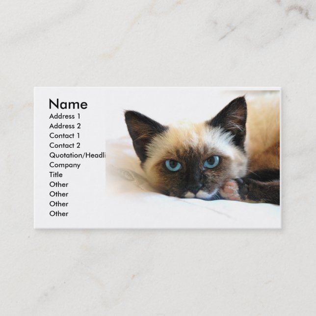 Siamese Cat Business Card (Front)