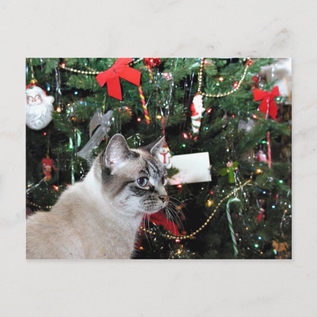 Siamese cat Christmas Holiday Postcard (Front)