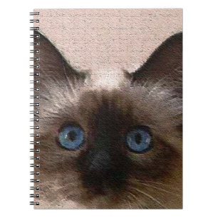 siamese cat crackle old aged cracked Hi Hello Spiral Notebook