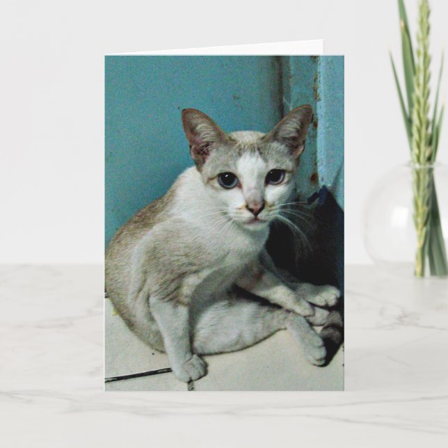 Siamese Cat Friend Card (Front)