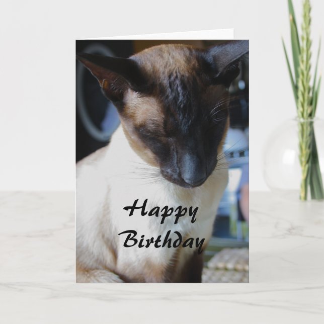 Siamese Cat Happy Birthday Card (Front)