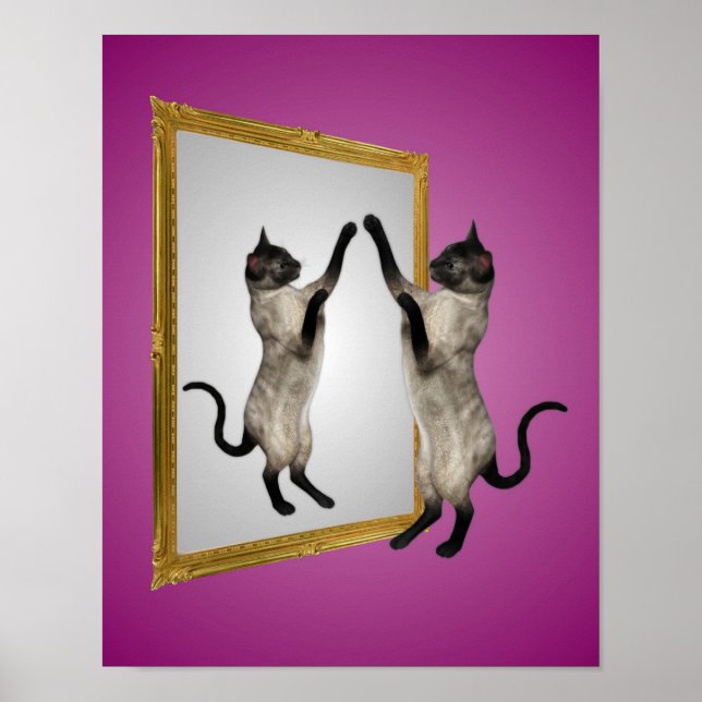 Siamese Cat In A Mirror Animal Art Poster (Front)