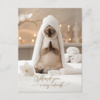 Siamese Cat in Spa Thank you