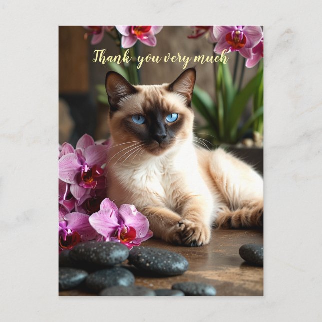 Siamese Cat in Spa thank you very much  Postcard (Front)