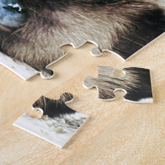 Siamese Cat Jigsaw Puzzle