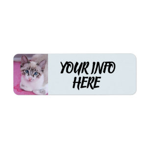 SIAMESE CAT KITTEN RETURN ADDRESS LABELS
