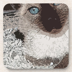 Siamese cat kitty pet animal friend family art coaster
