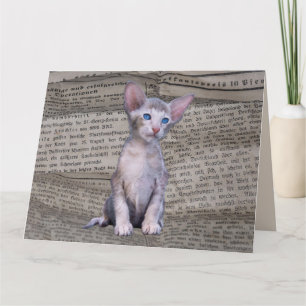 SIAMESE CAT LOVE BIRTHDAY NEWSPAPER ART Card