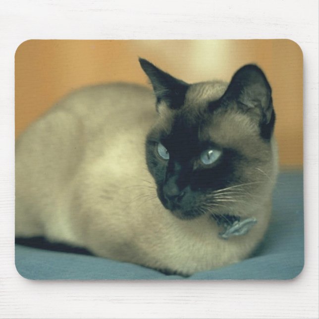 Siamese Cat Mousepad (Front)
