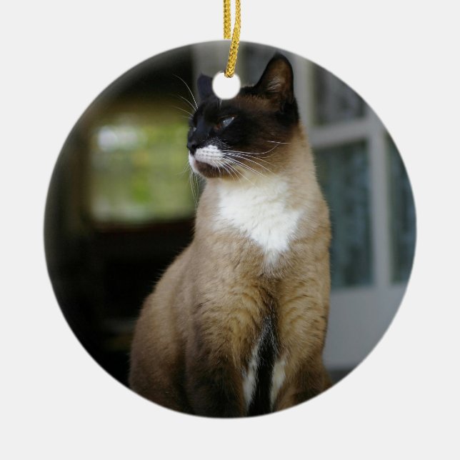 Siamese Cat on the Porch Ceramic Tree Decoration (Front)