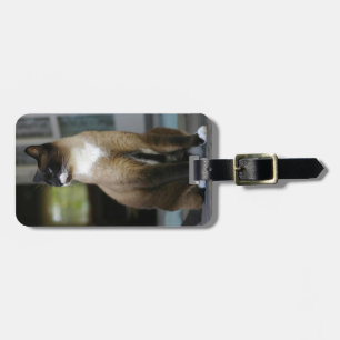 Siamese Cat on the Porch Luggage Tag