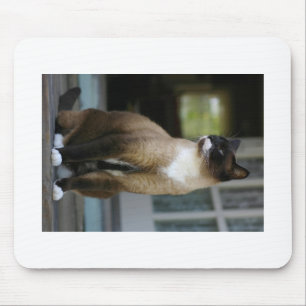 Siamese Cat on the Porch Mouse Pad
