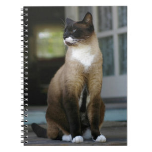 Siamese Cat on the Porch Notebook