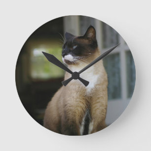 Siamese Cat on the Porch Round Clock